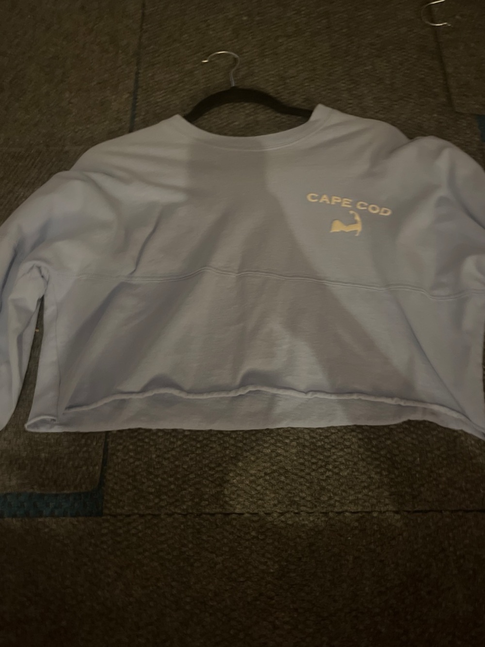 Brandy Melville sweatshirt